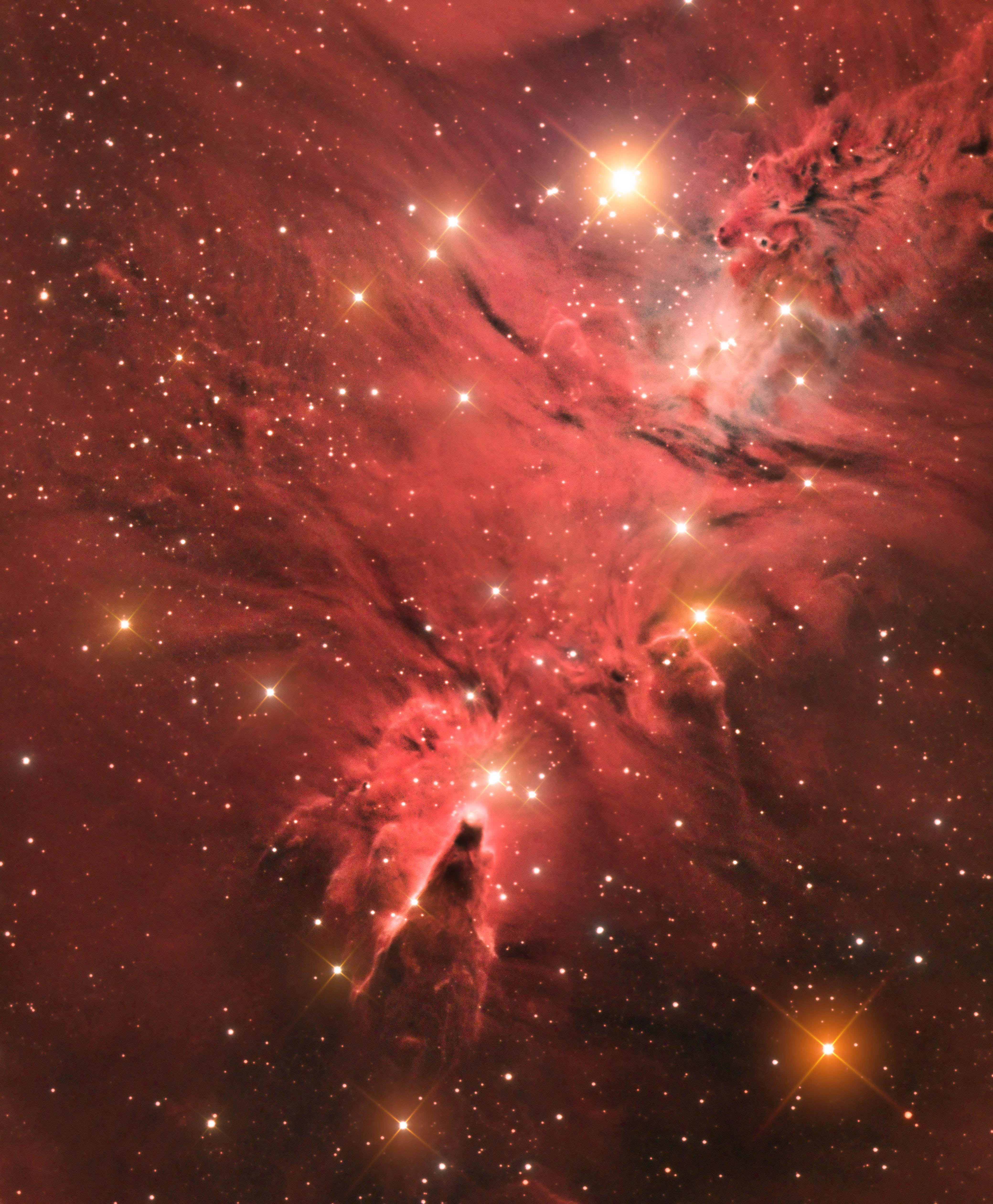 The Cone Nebula (NGC 2264) © Jason Green winner