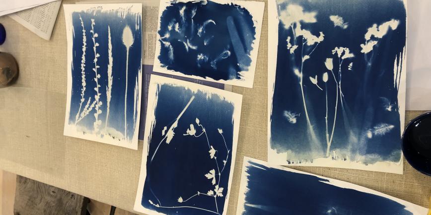 A table is laid with cyanotype prints, bearing the white reliefs of flowers against a blue background