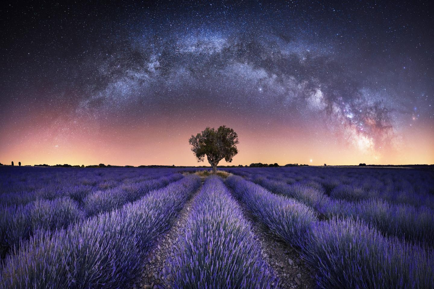 Milky Way stretching over lavender fields in France