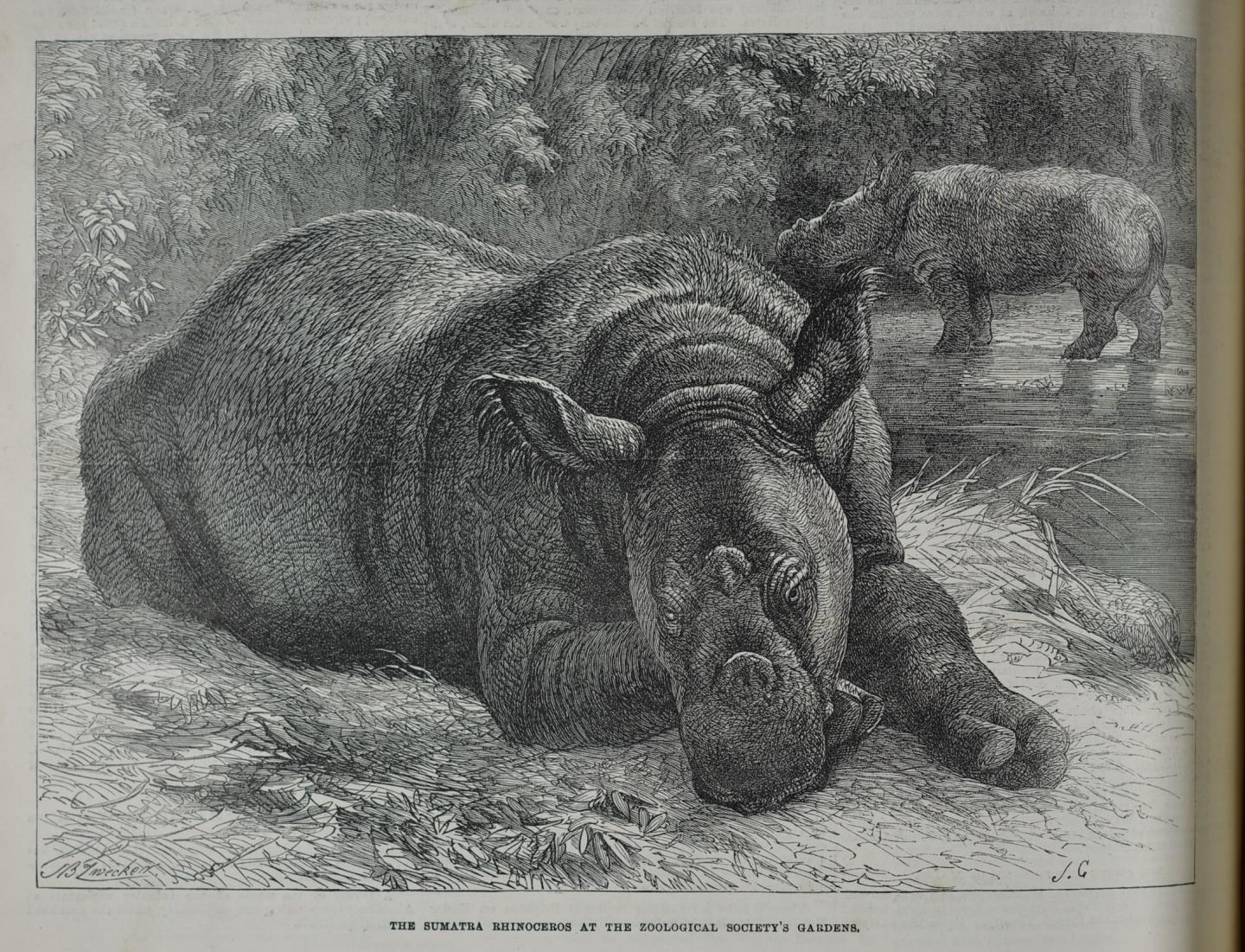 Illustrated London News 23 March 1872