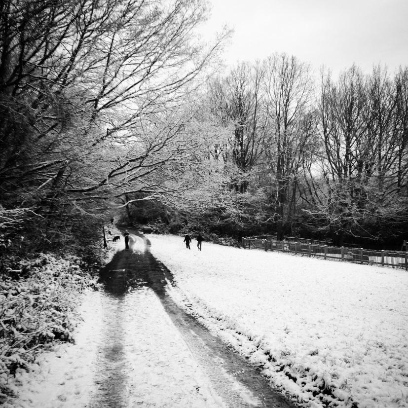 Running through Hampstead Heath in the snow