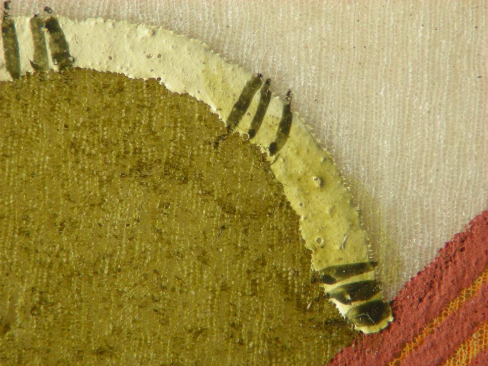 Chinese pith paintings - Detail of the media application with raised glossy outline