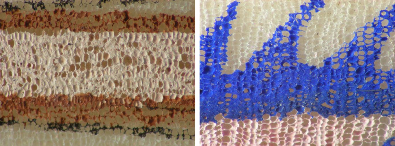 Chinese pith paintings - Details of the technique under magnification