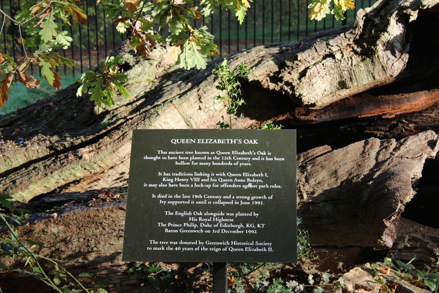 Queen Elizabeth's Oak - sign