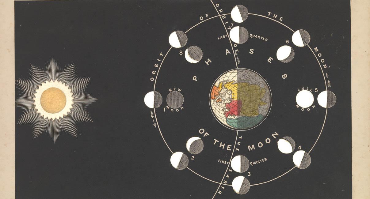 The phases of the moon by James Reynolds