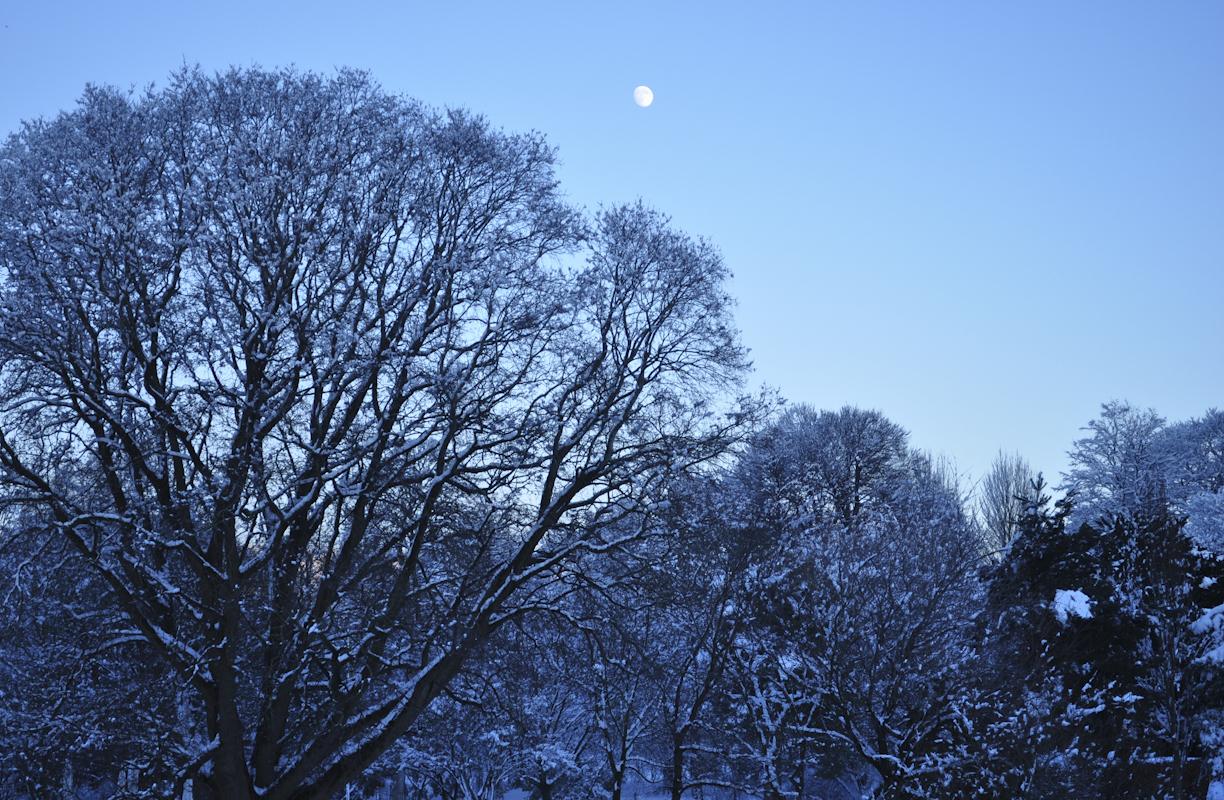 Winter's Moon © Jessica Caterson, Astronomy Photographer of the Year Young Commended 2011