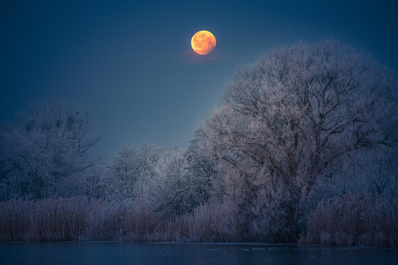 OM-84200-21_The Penumbral Lunar Eclipse and the New Born Rime © Hailong Qiu.jpg