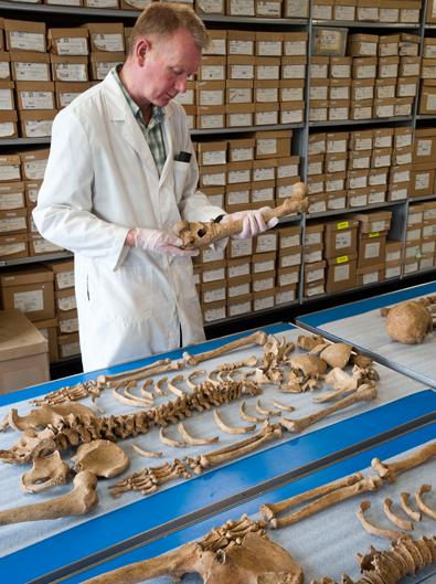 Handling bones at Museum of London Archaeology