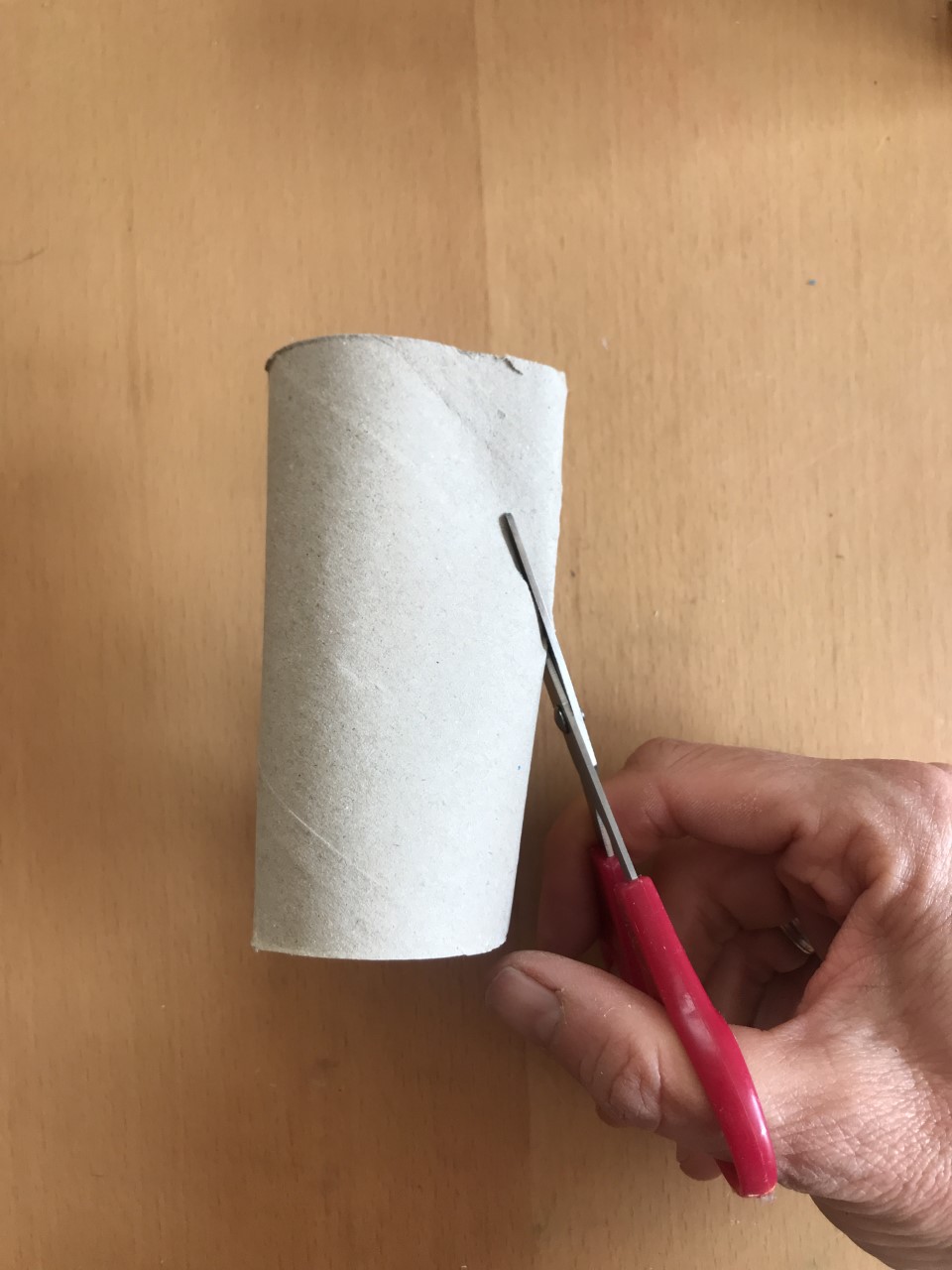 Fold the loo roll and snip into it A person cuts into a loo roll tube with a pair of red scissors