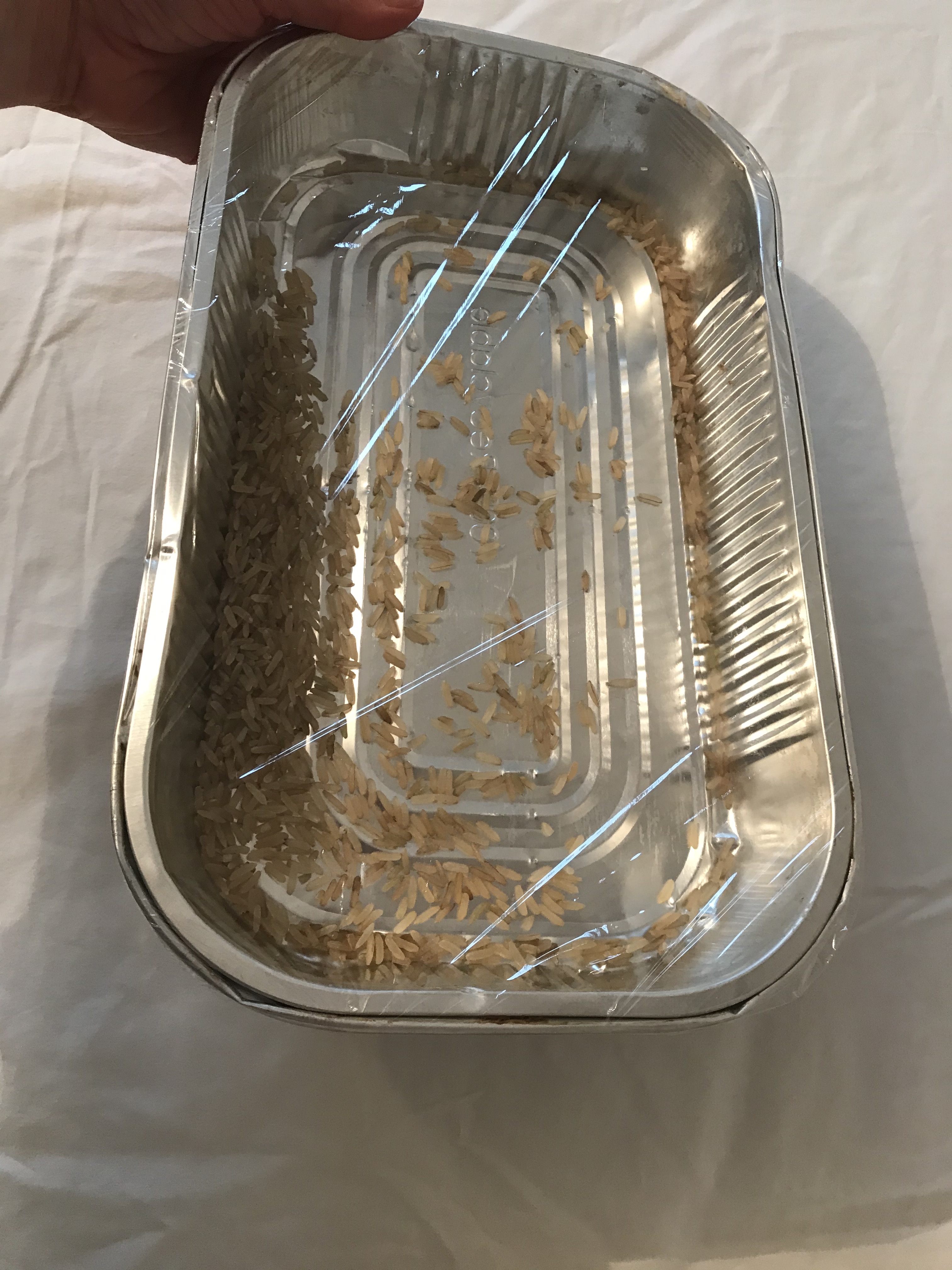 Experiment! A metal tray with rice inside is being tipped at a slight angle to produce a sound.