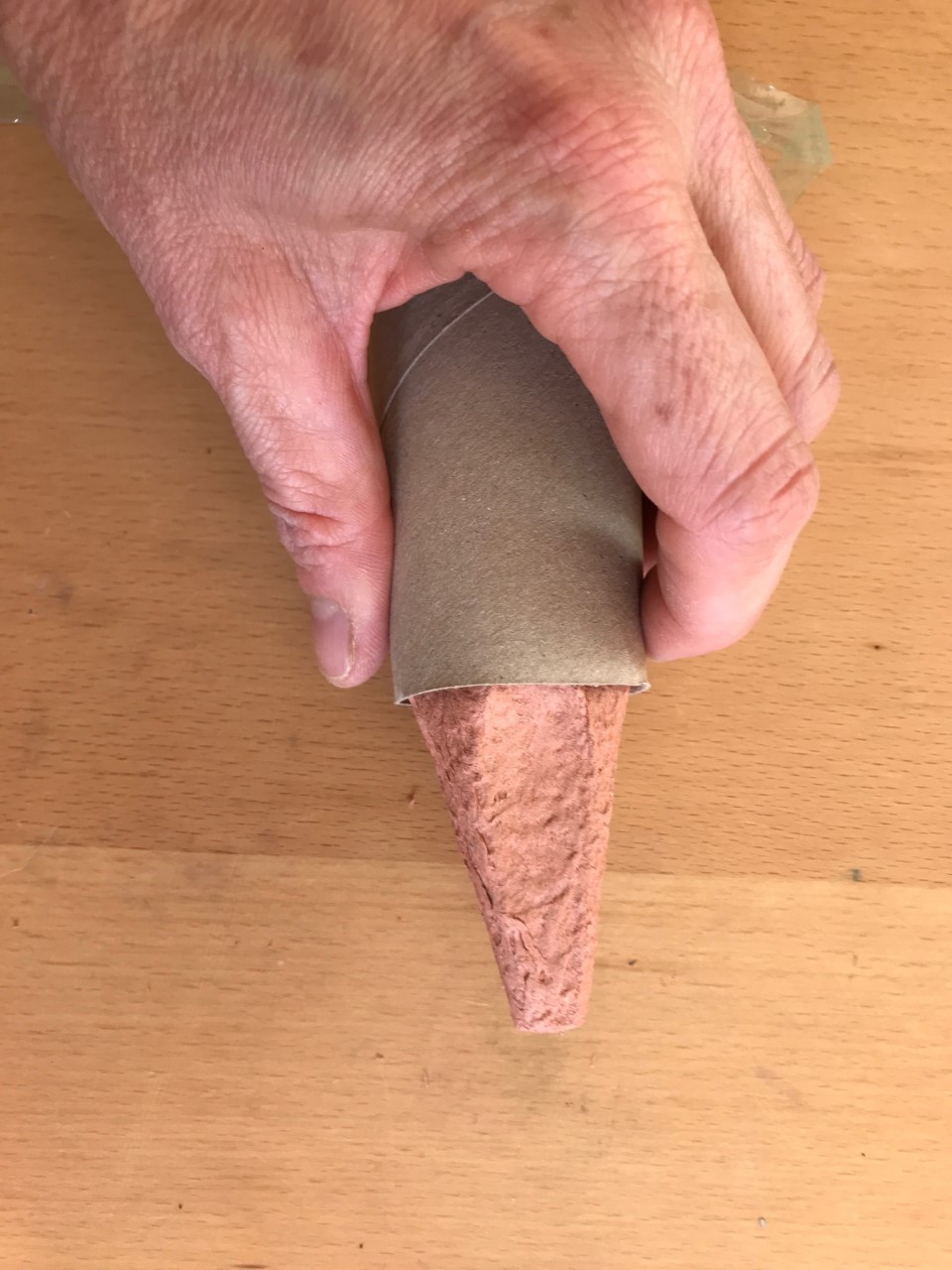 Push your egg box bit into the end of the loo roll. Someone pushes the pointed bit of an egg box into the end of a loo roll tube
