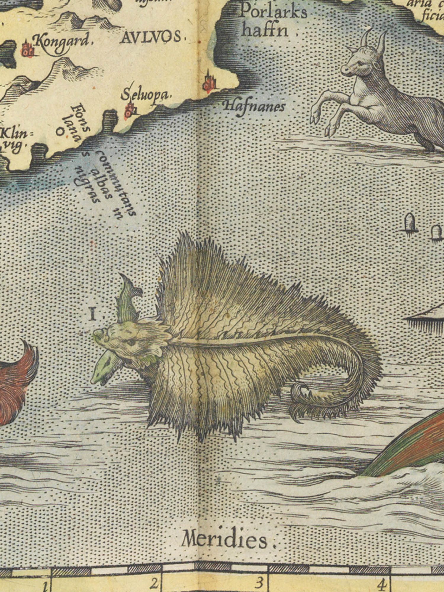 Sea monster I from the Islandia map. "Skautuhvalurm" Image of sea monster I from the Islandia map. "Skautuhvalurm"