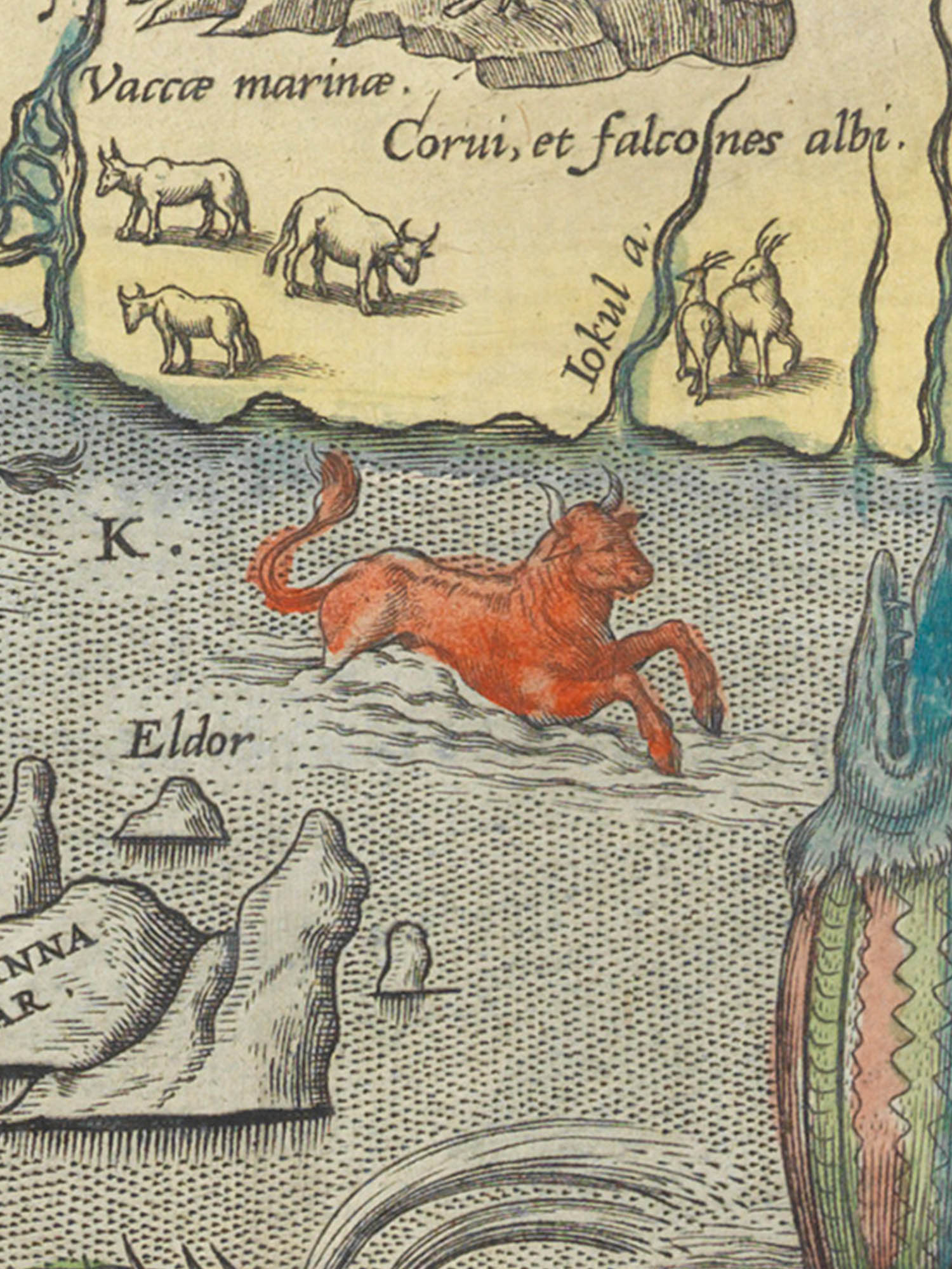 Sea monster K from the Islandia map. "Seenaut" Image of sea monster K from the Islandia map. "Seenaut"