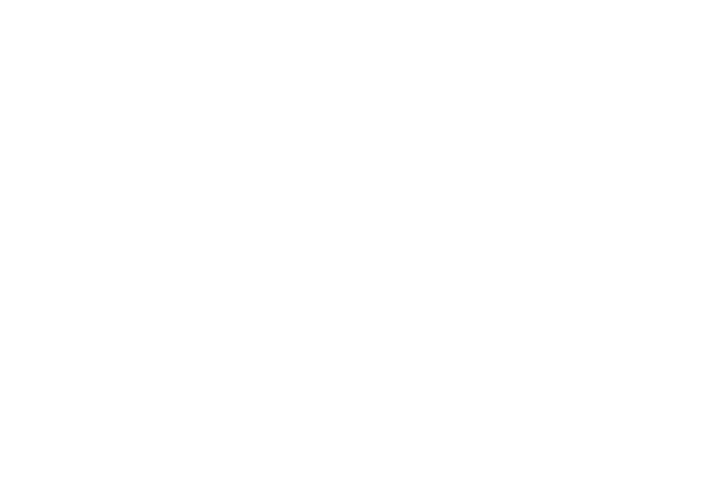Insight Investment logo