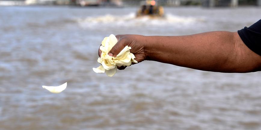 A close-up of a person's hand throwing petals into the river Thames