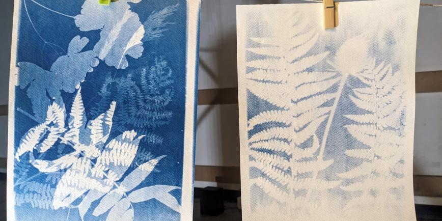 Photograph of two cyanotype prints of white leaves against a blue background, hanging on a line to dry