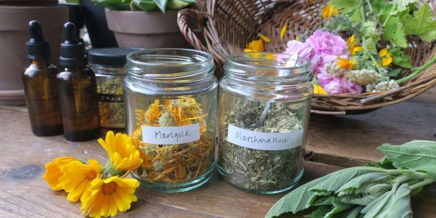 a photo of herbs, oils and flowers, in a basket, in jars and bottles