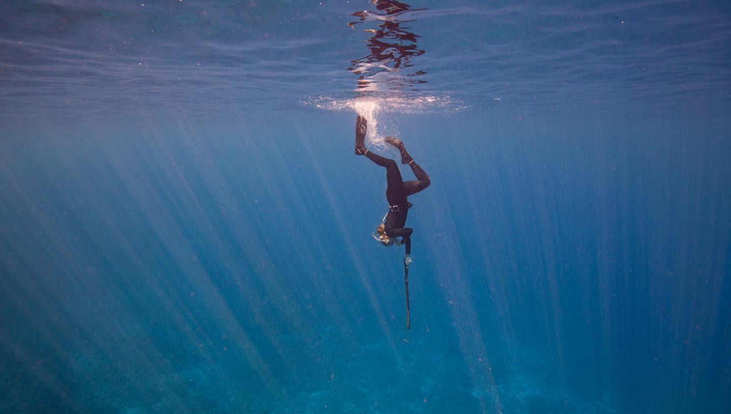 A diver heads swims vertically downwards through shining blue sea, holding a harpoon out in front