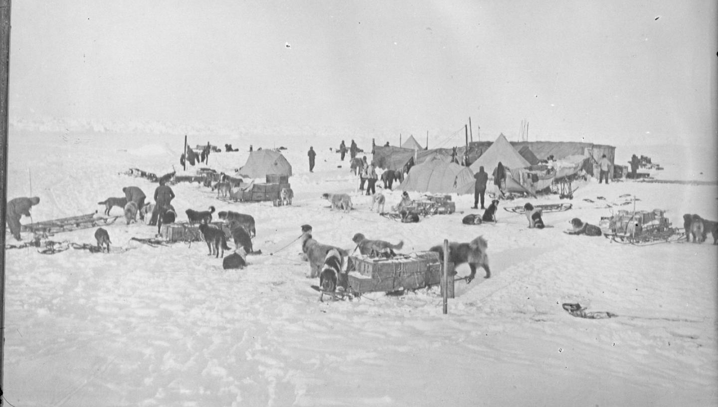 A historic photograph of an Antarctic camp