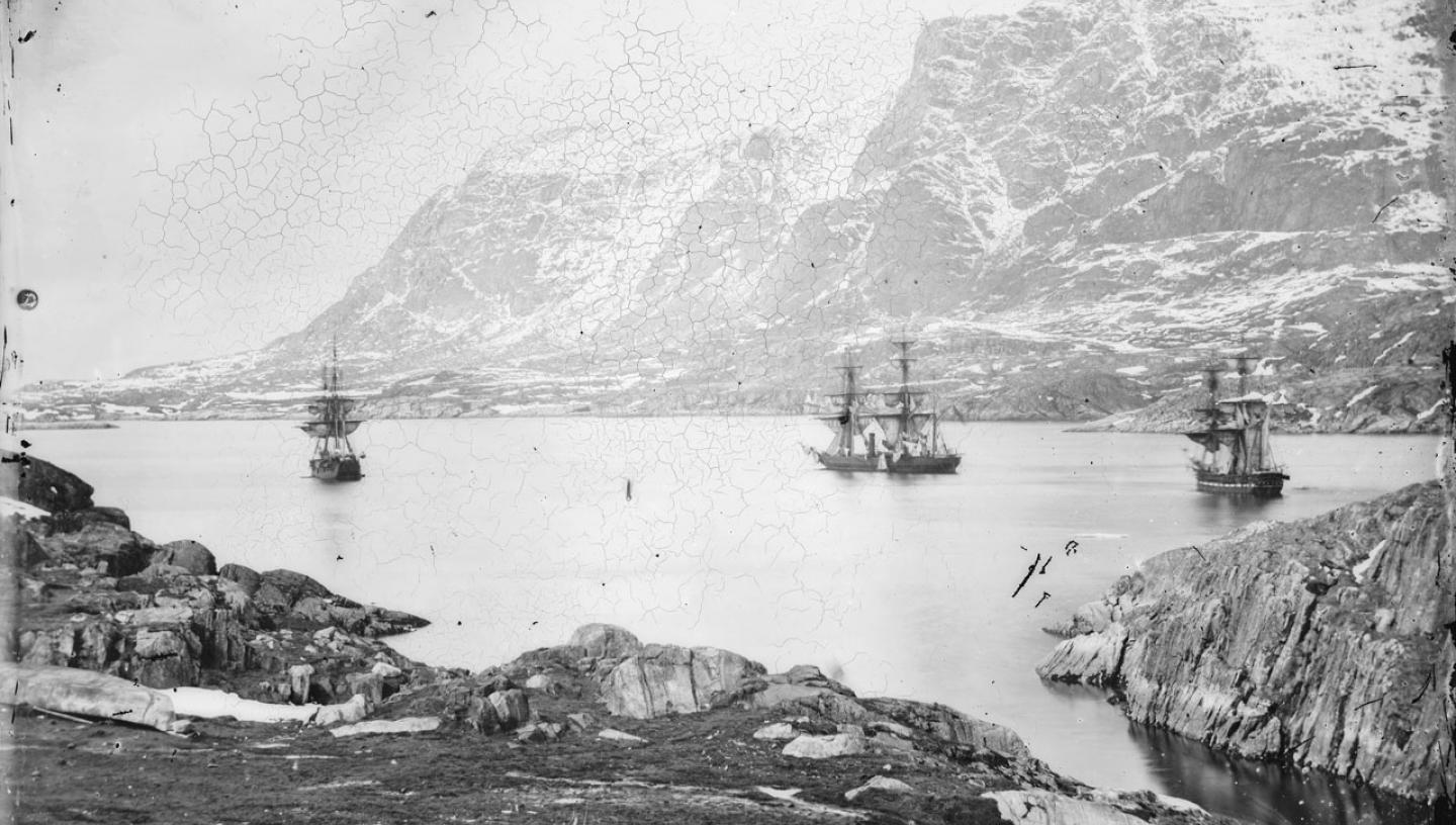 HMS Phoenix (1832), HMS Talbot (1824) and HMS Diligence (1814) at anchor, Holsteinborg (now Sisimiut), Greenland taken in June 1854