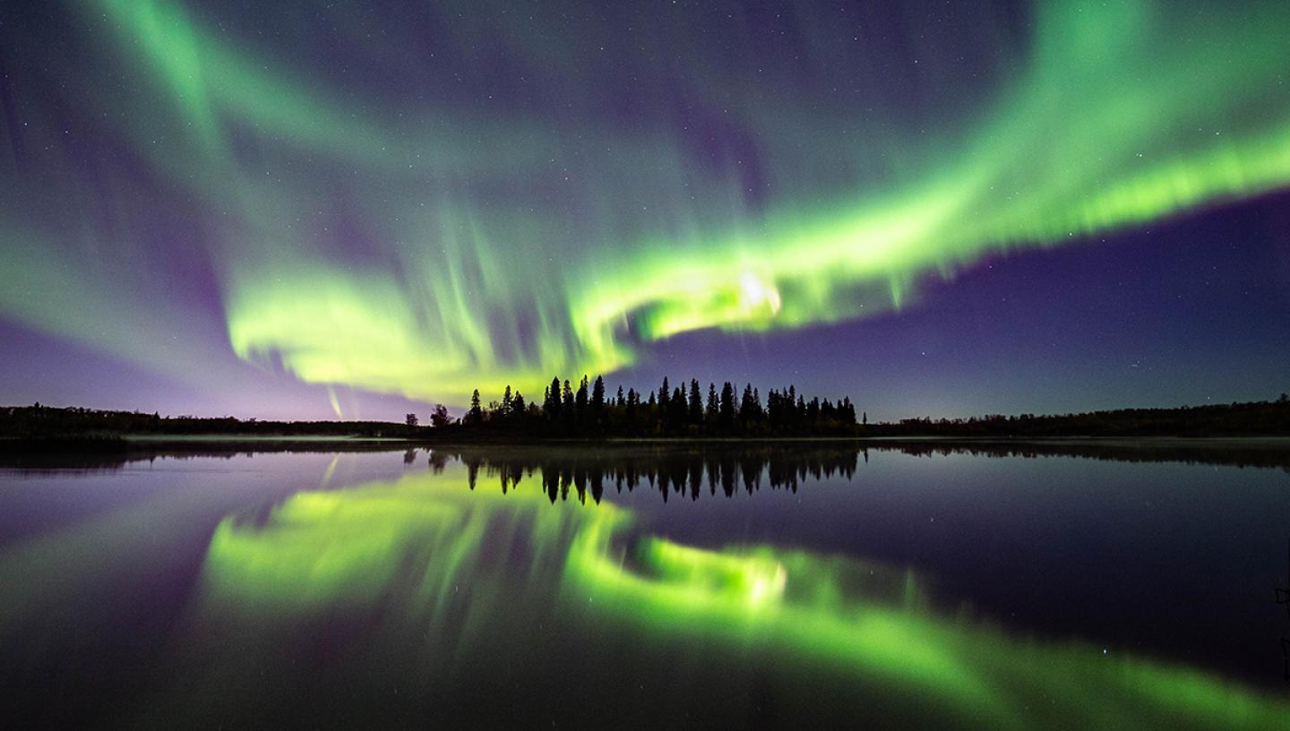 Purple and green aurorae over an island of dark trees