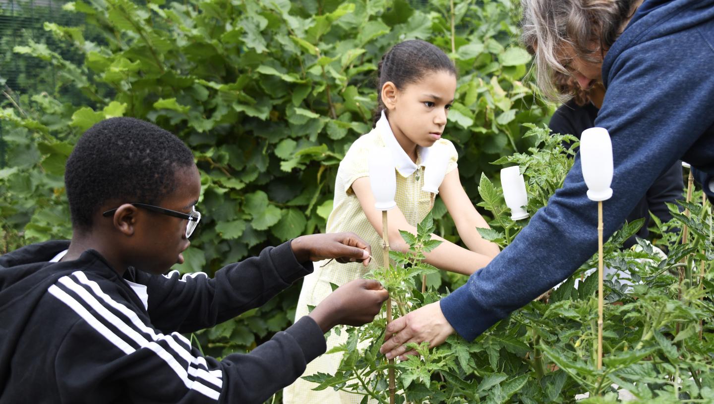 Children helping in the garden