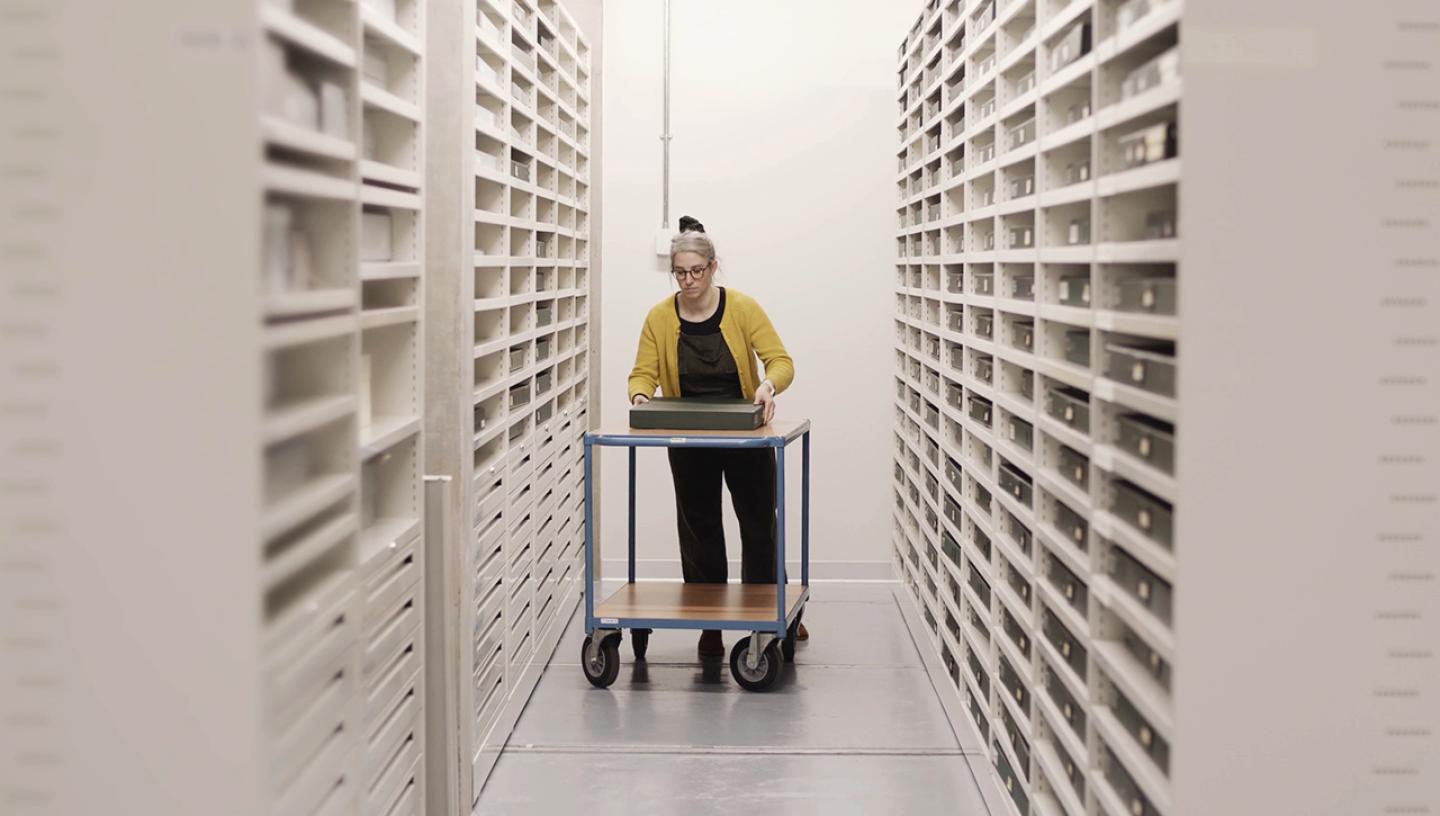 A woman in a yellow top retrieves a box from a row of Museum storage shelves. The green case is one of apparently hundreds lined along the narrow white shelves