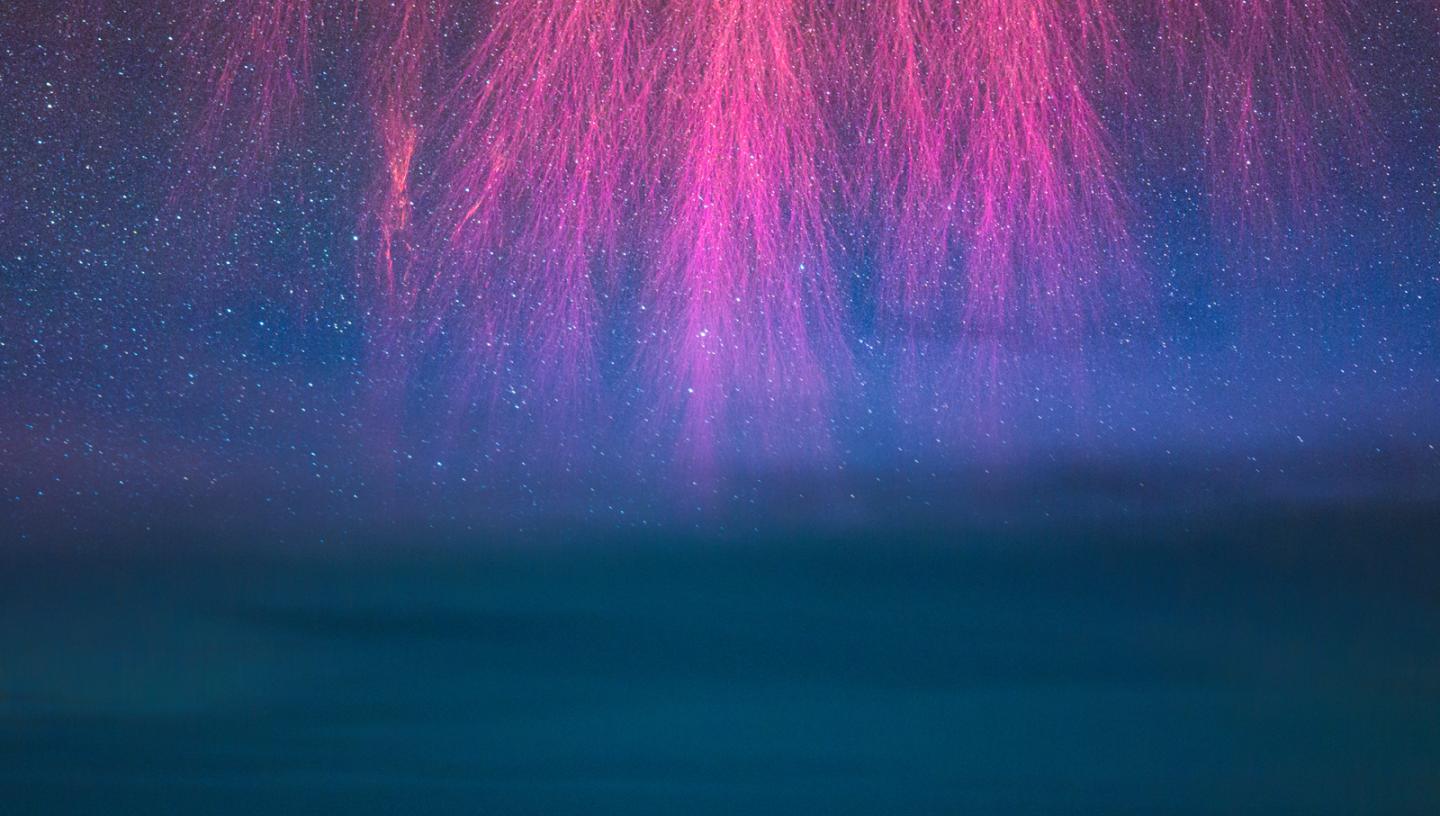 Image of the sky with a lightning sprite at the top of the image in bright pinks, resembling tree branches