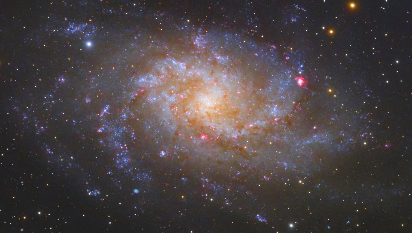 Image of the spiral Triangulum galaxy