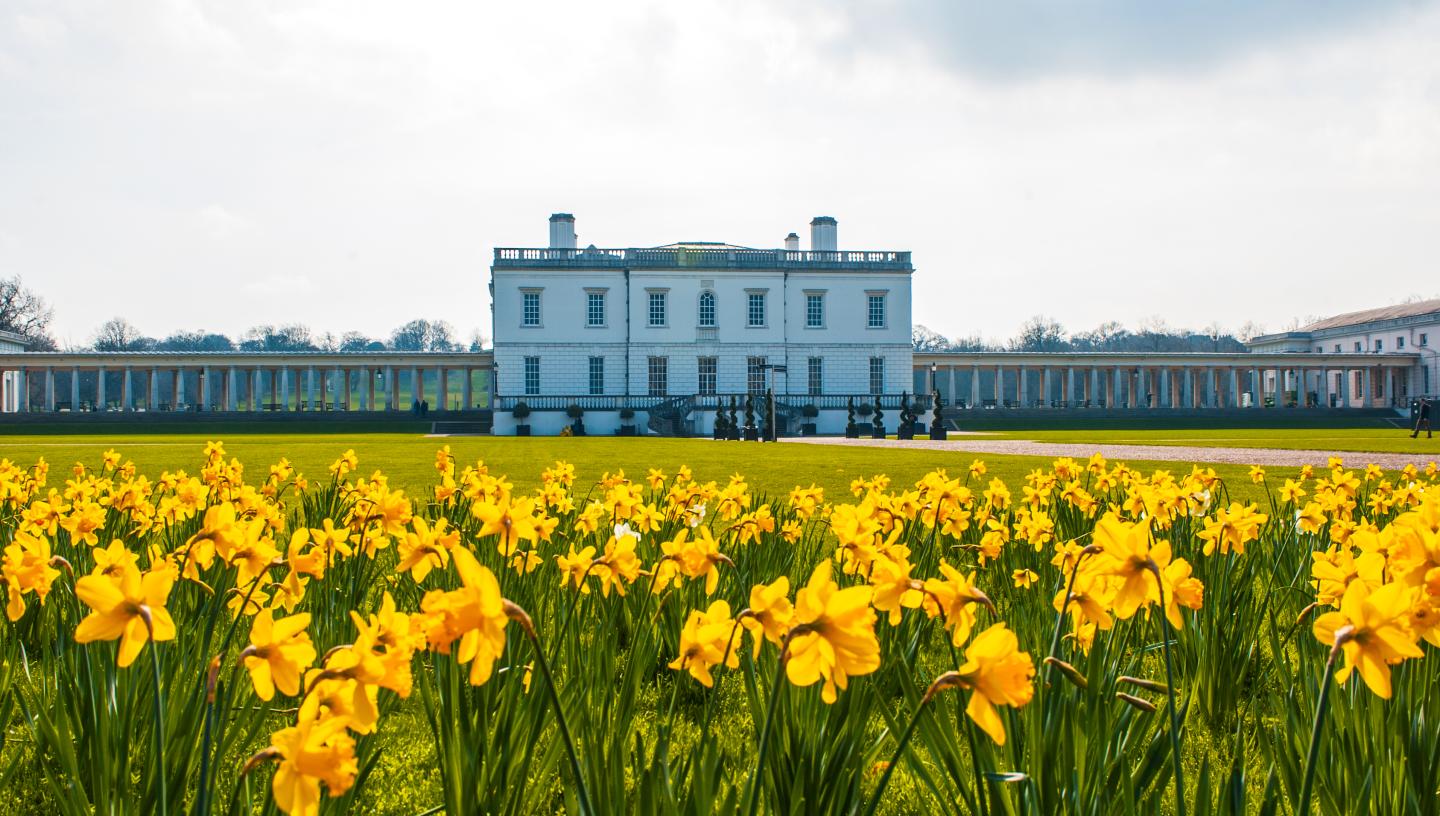 The Queen's House in Greenwich with a sea of daffodils in the foreground