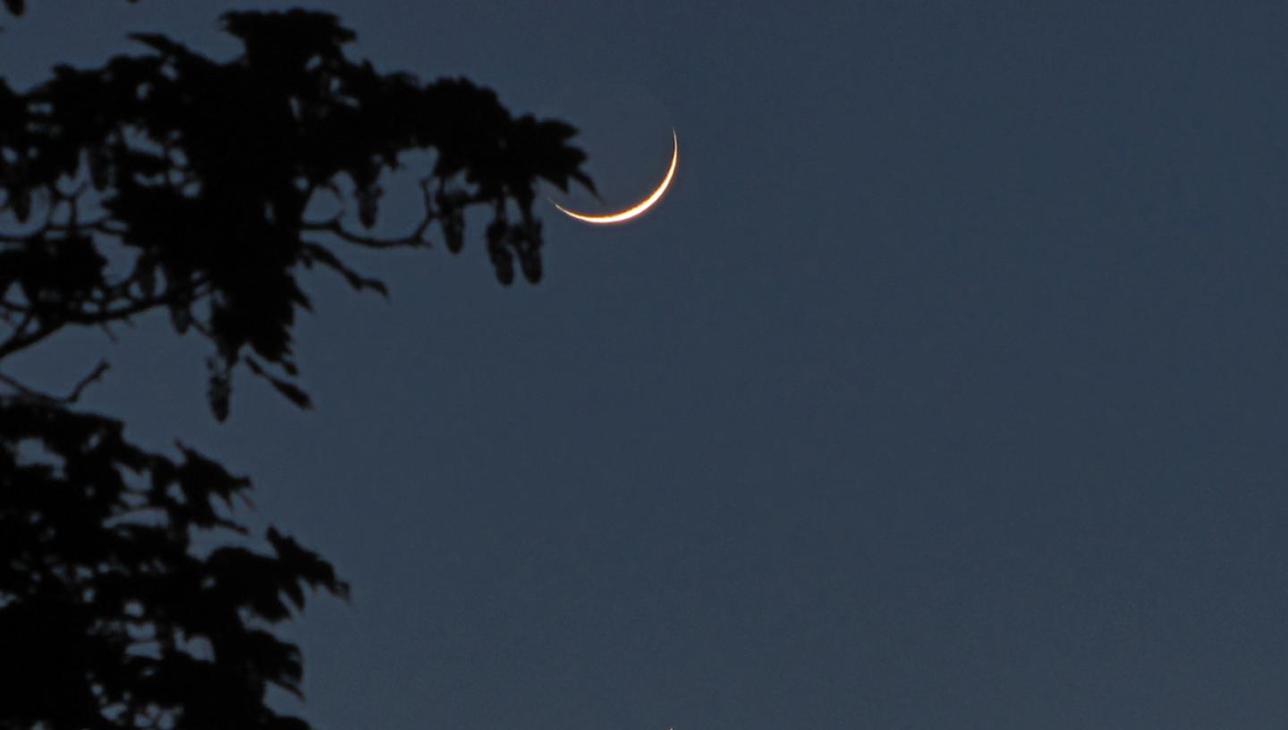 🌙