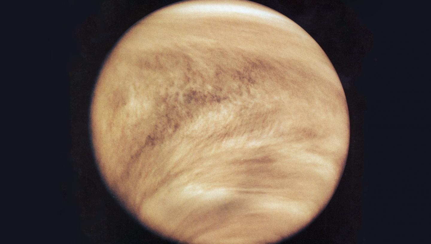 Venus cuellar