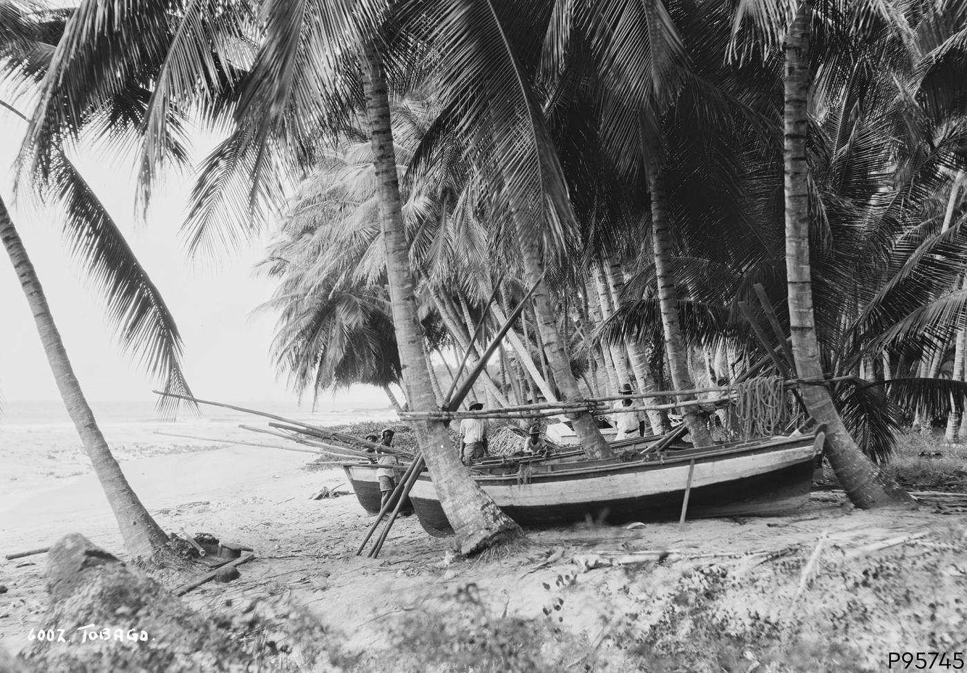 An image showing 'Tobago, West Indies'