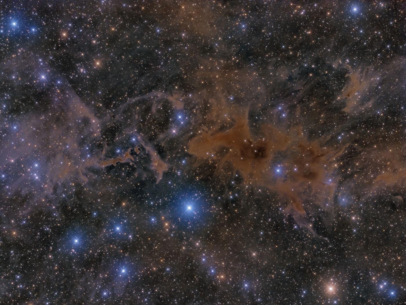 An image showing 'LBN 552 & LDN 1228 in Cepheus'