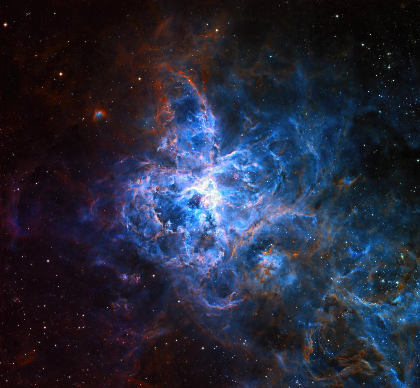 An image showing 'Tarantula Nebula '