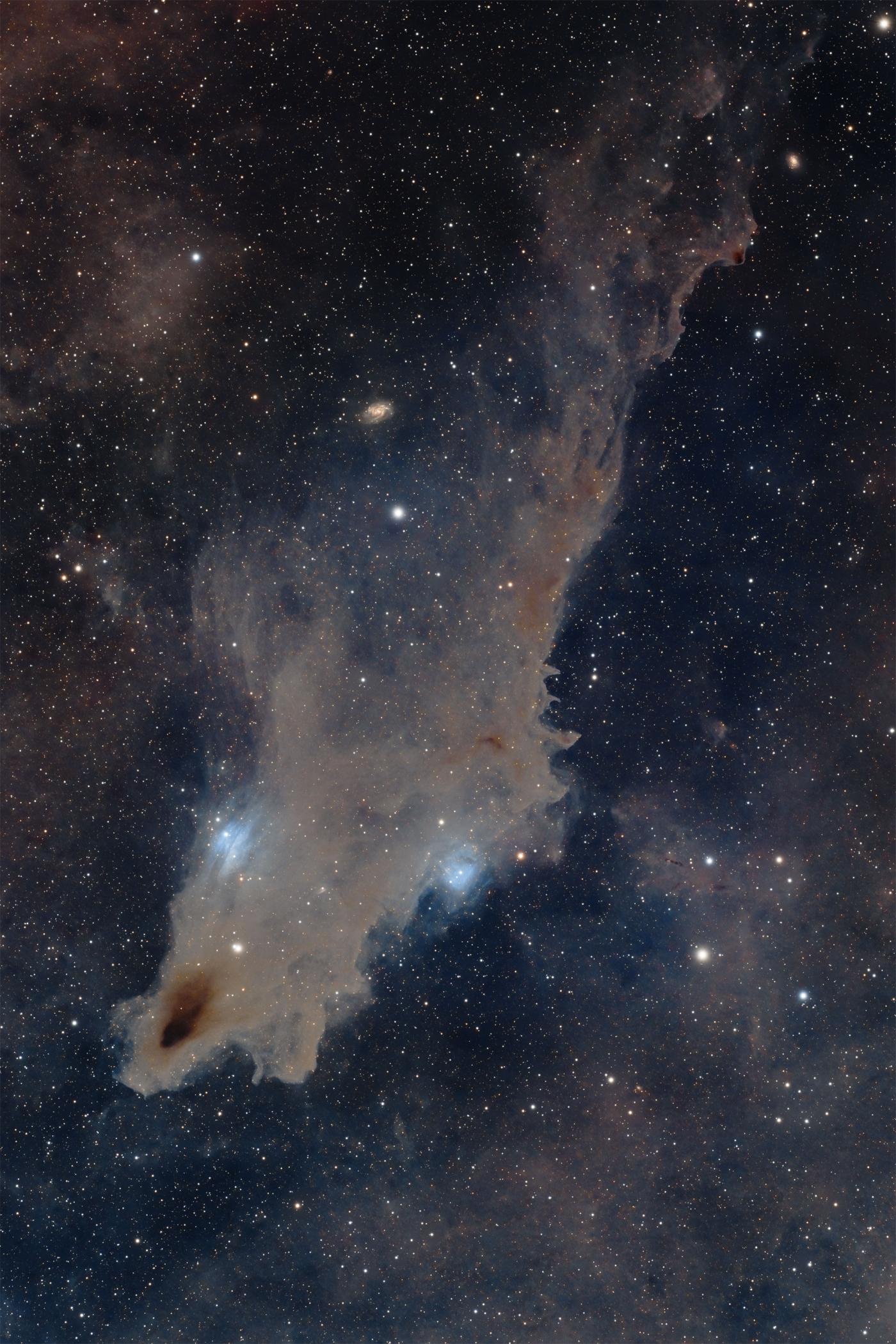An image showing 'The Dive - LDN 1235 The Dark Shark Nebula in Cepheus'