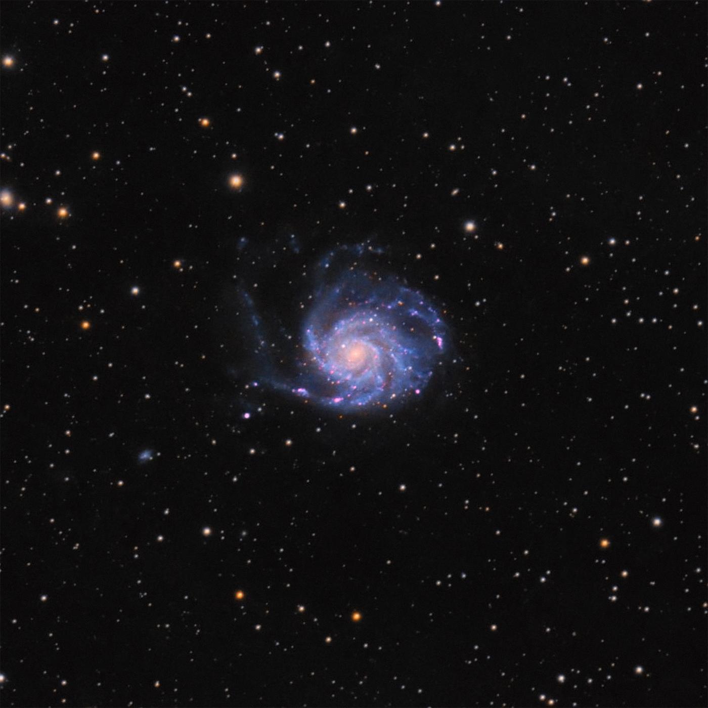 An image showing 'M101 —The Pinwheel Galaxy'