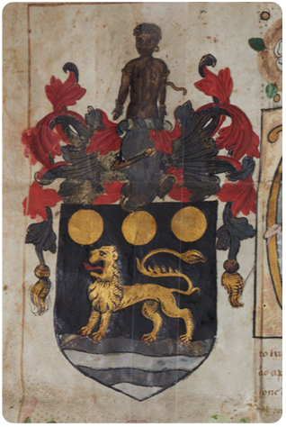 An image showing 'The Coat of Arms of John Hawkins'