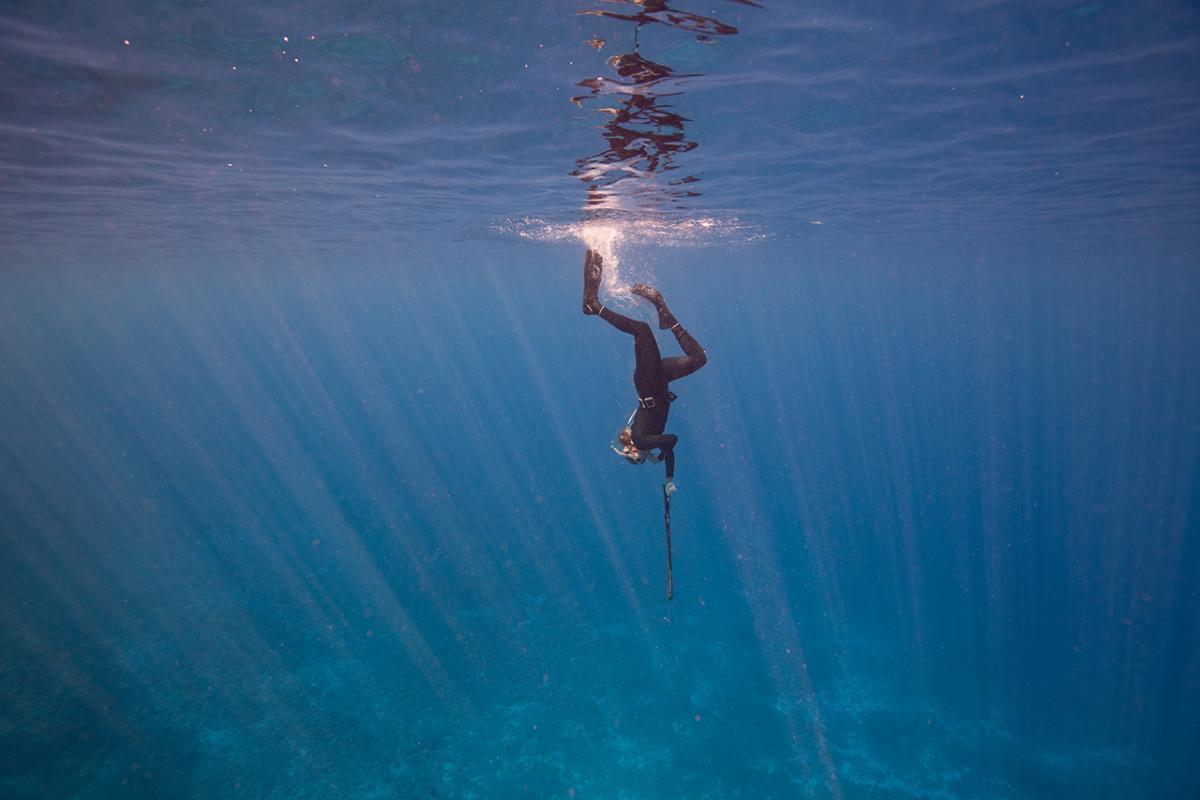 A diver heads swims vertically downwards through shining blue sea, holding a harpoon out in front