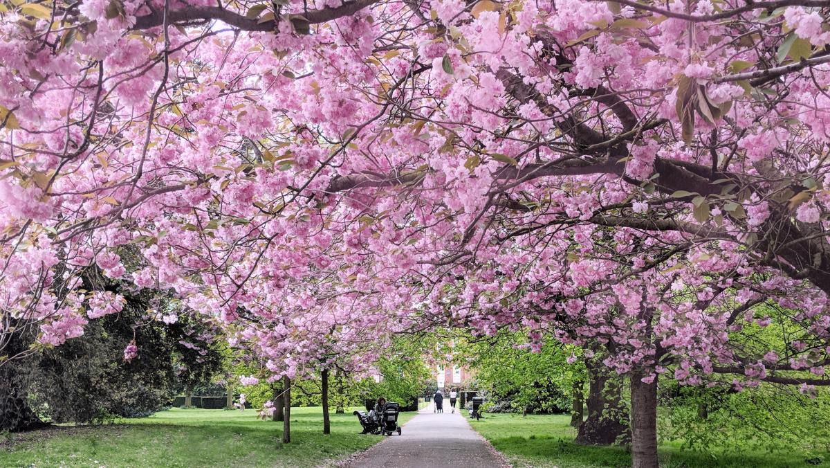 Start Of Spring 2025 Uk Vevay Donelle