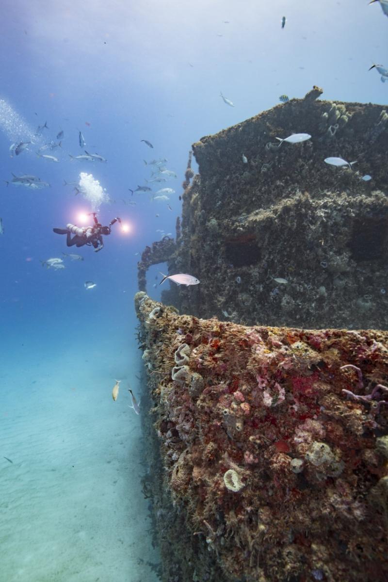 A challenging dive on a ship sunk as an artificial reef off Puerto Morelos, Mexico. By kind permission of artist © Jennifer Adler_