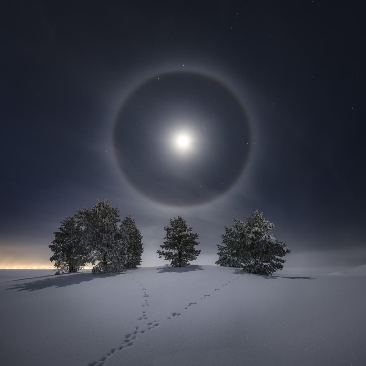 A bright full moon shines over fir trees in the snow