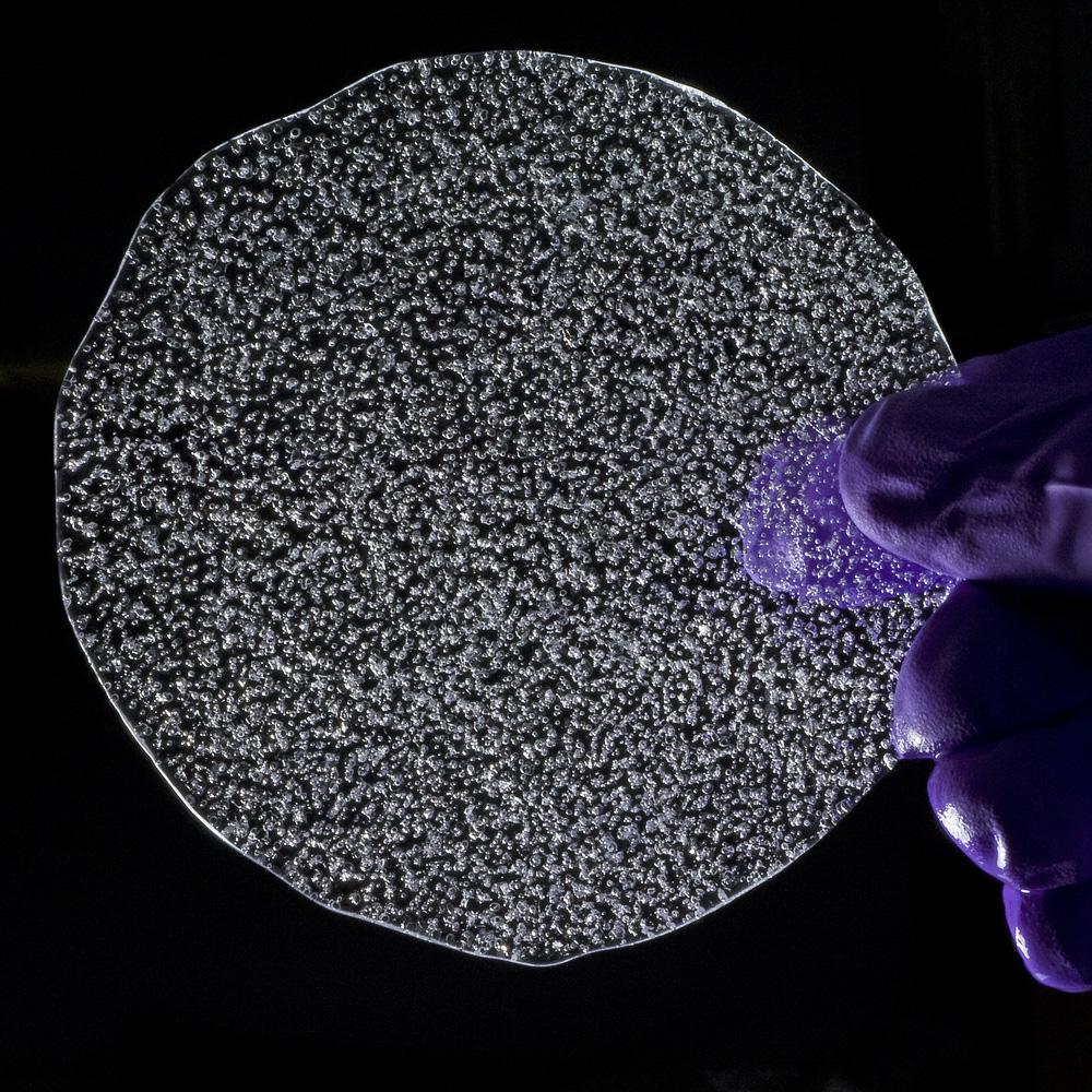 Scientist holds a slice of ice core containing bubbles