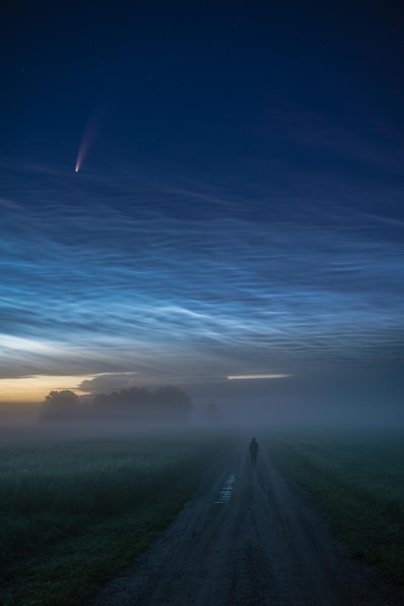 Foggy field with comet Neowise