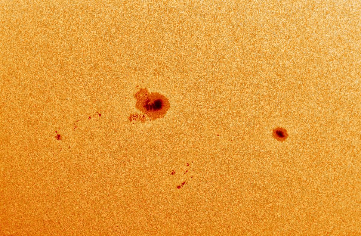 Close-up of sunspots AR2786 and AR2785