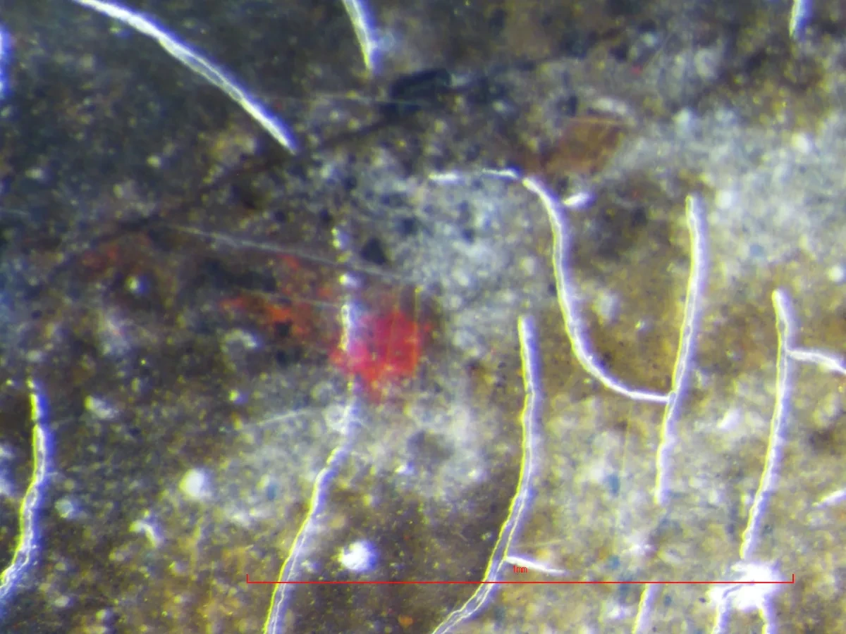 A photograph showing the bright red underdrawing on a Royal Visit to the Fleet