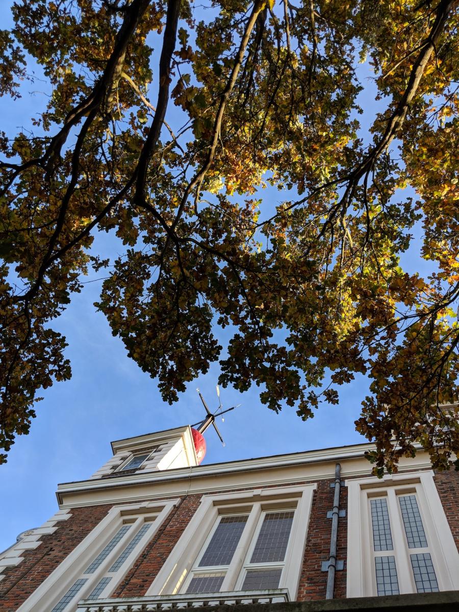 A photo looking up at the Royal Observatory's Flamsteed House during Autumn. Trees are turning from green to gold