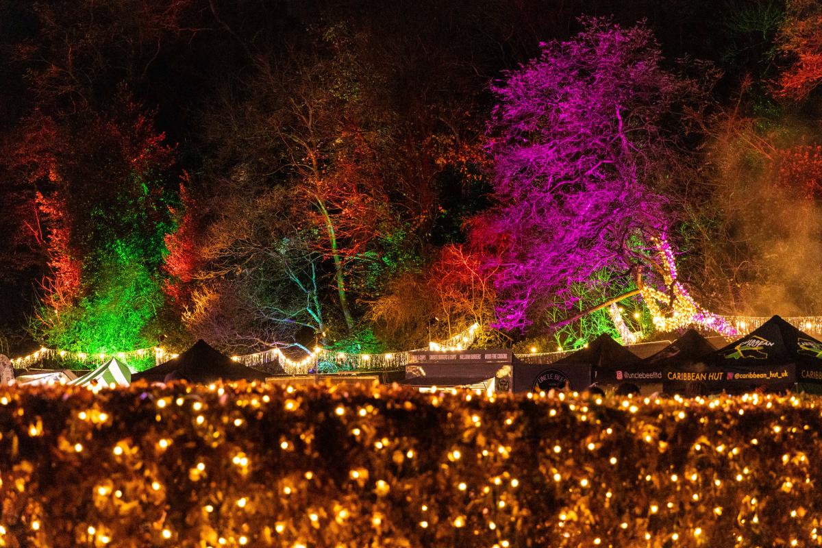Winter trees lit up in different coloured lights, with roofs of huts and sparkling string lights hanging over a wall
