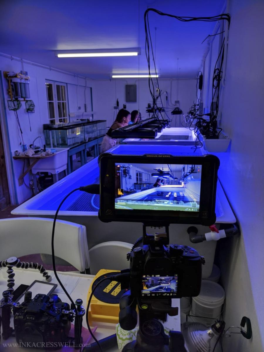 Behind the scenes of a film set in a science lab