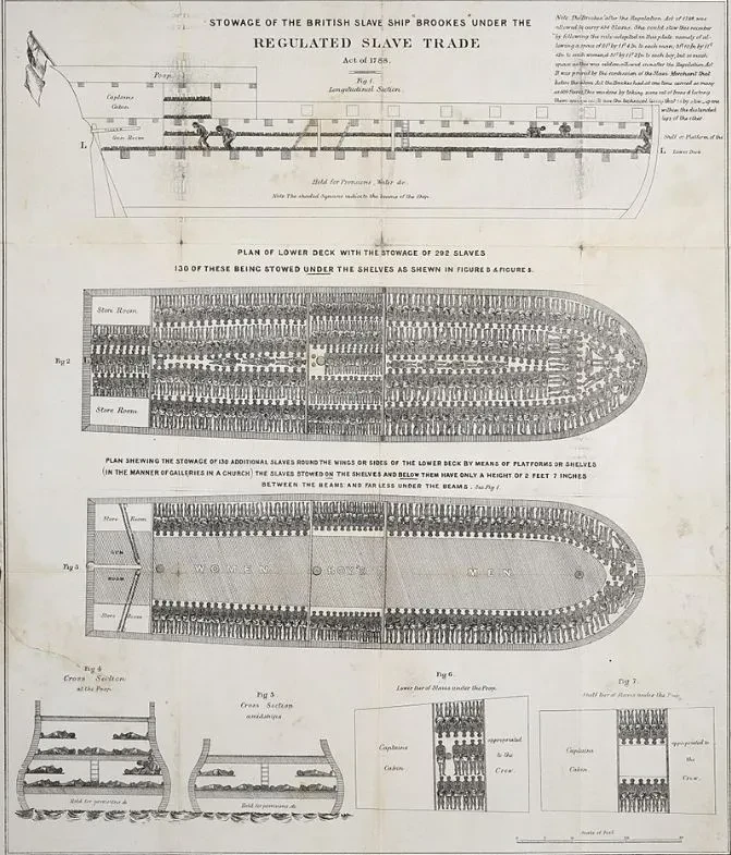 An image of a document entitled "Stowage of the British Slave Ship Brookes Under the Regulated Slave Trade". 